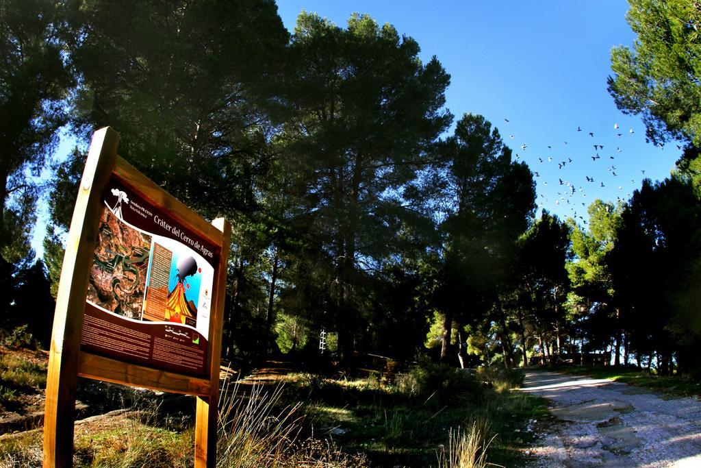 Hotel Balneario De Cofrentes Zewnętrze zdjęcie